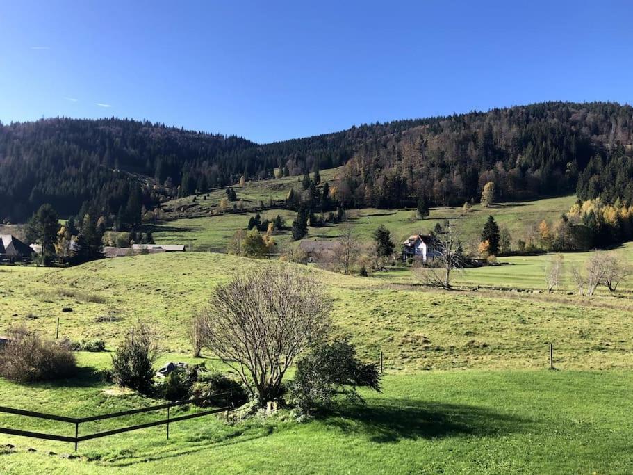 Appartement Schwarzwald Loft Menzenschwand-Hinterdorf Extérieur photo