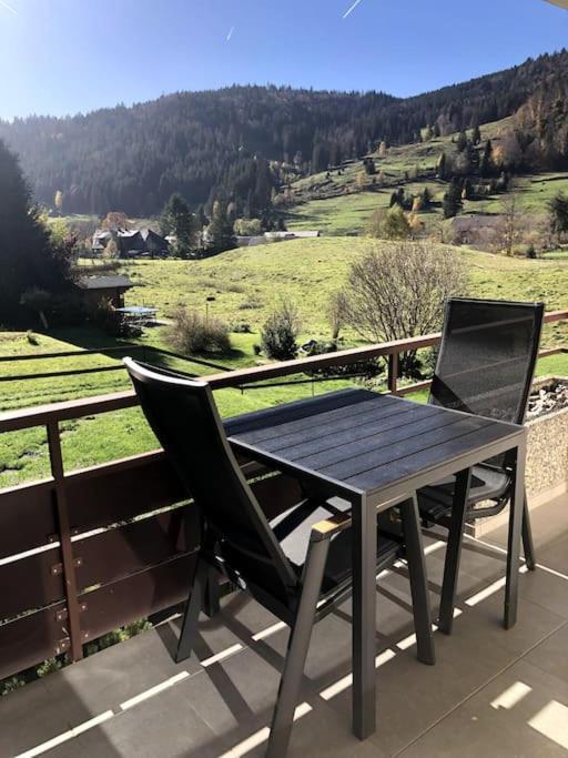 Appartement Schwarzwald Loft Menzenschwand-Hinterdorf Extérieur photo