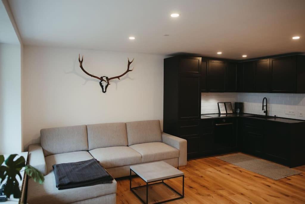 Appartement Schwarzwald Loft Menzenschwand-Hinterdorf Extérieur photo