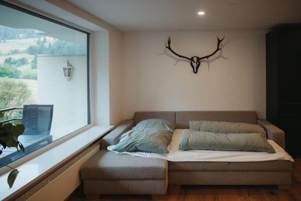 Appartement Schwarzwald Loft Menzenschwand-Hinterdorf Extérieur photo