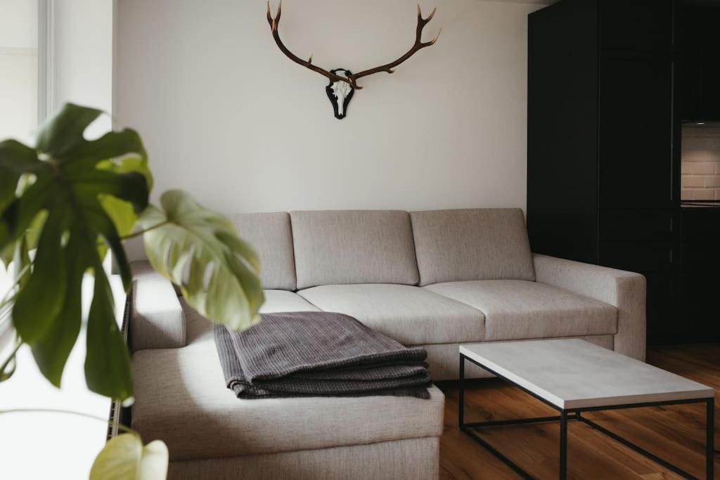 Appartement Schwarzwald Loft Menzenschwand-Hinterdorf Extérieur photo